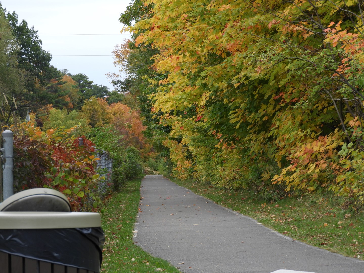 Miscellaneous in Quebec City CN  8 of  8 (#0409)