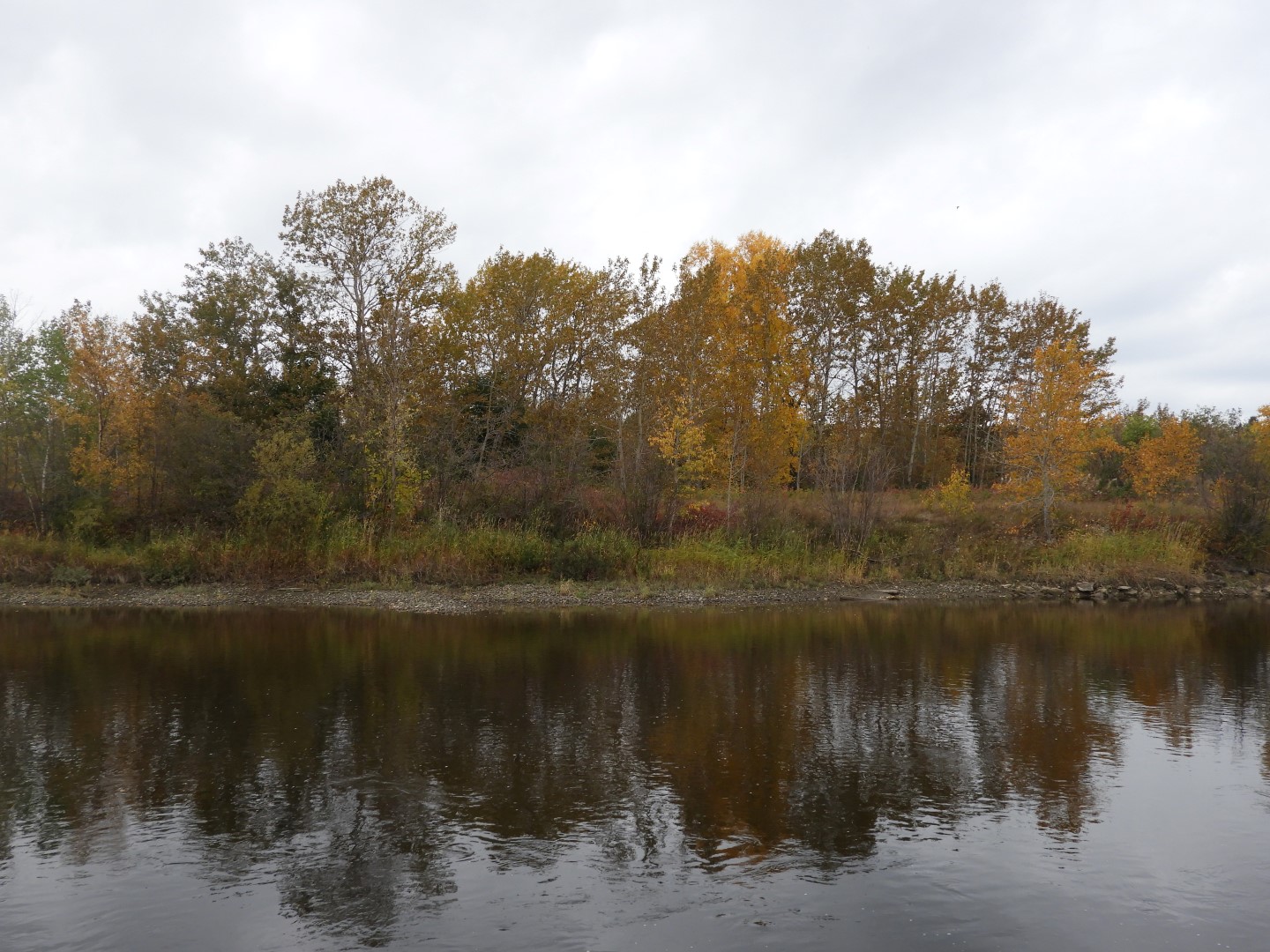 Rimouski CN 2 of  9 (#0429)