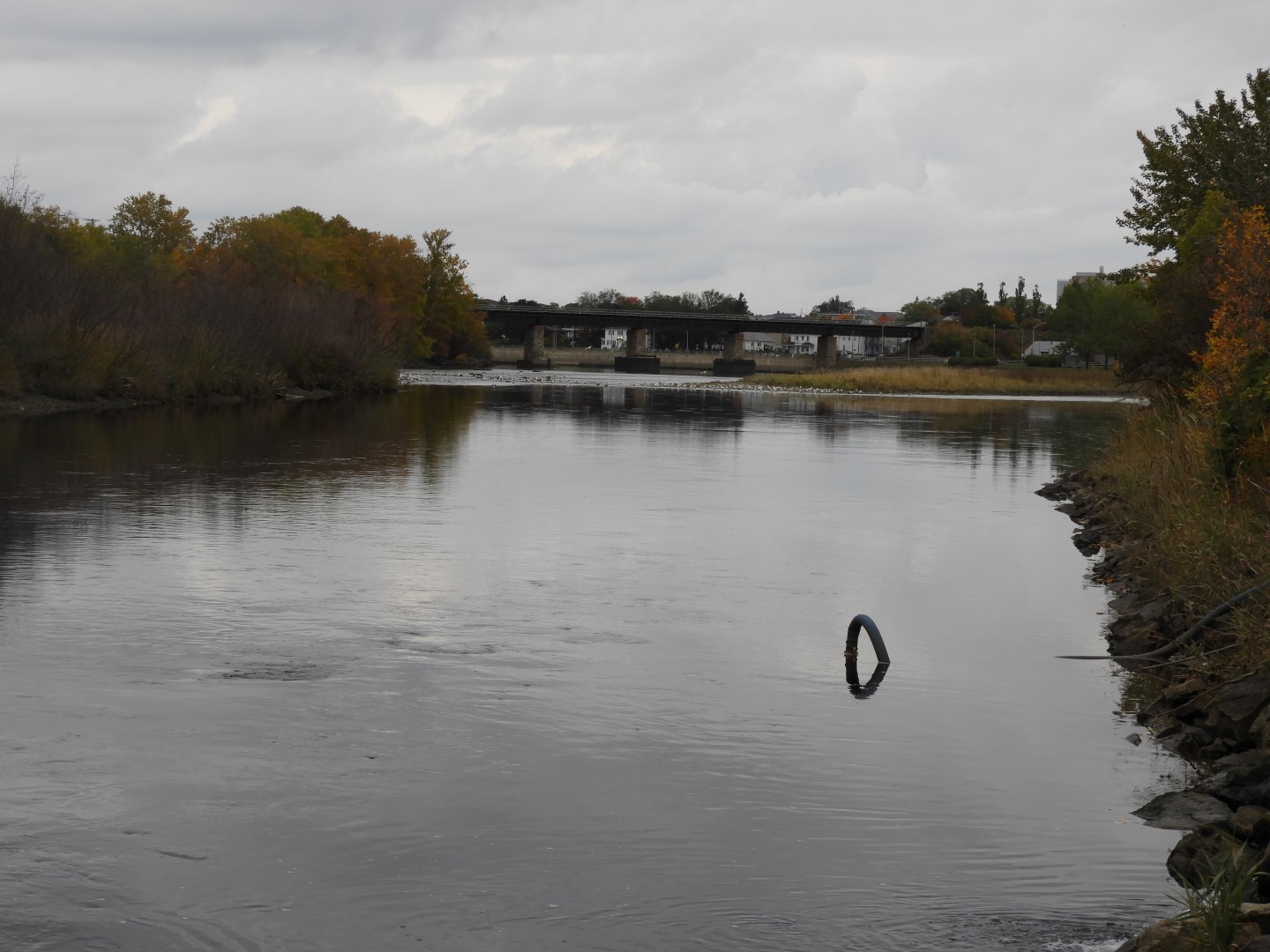 Rimouski CN 3 of  9 (#0430)