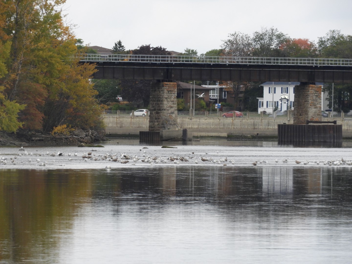 Rimouski CN 4 of  9 (#0431)
