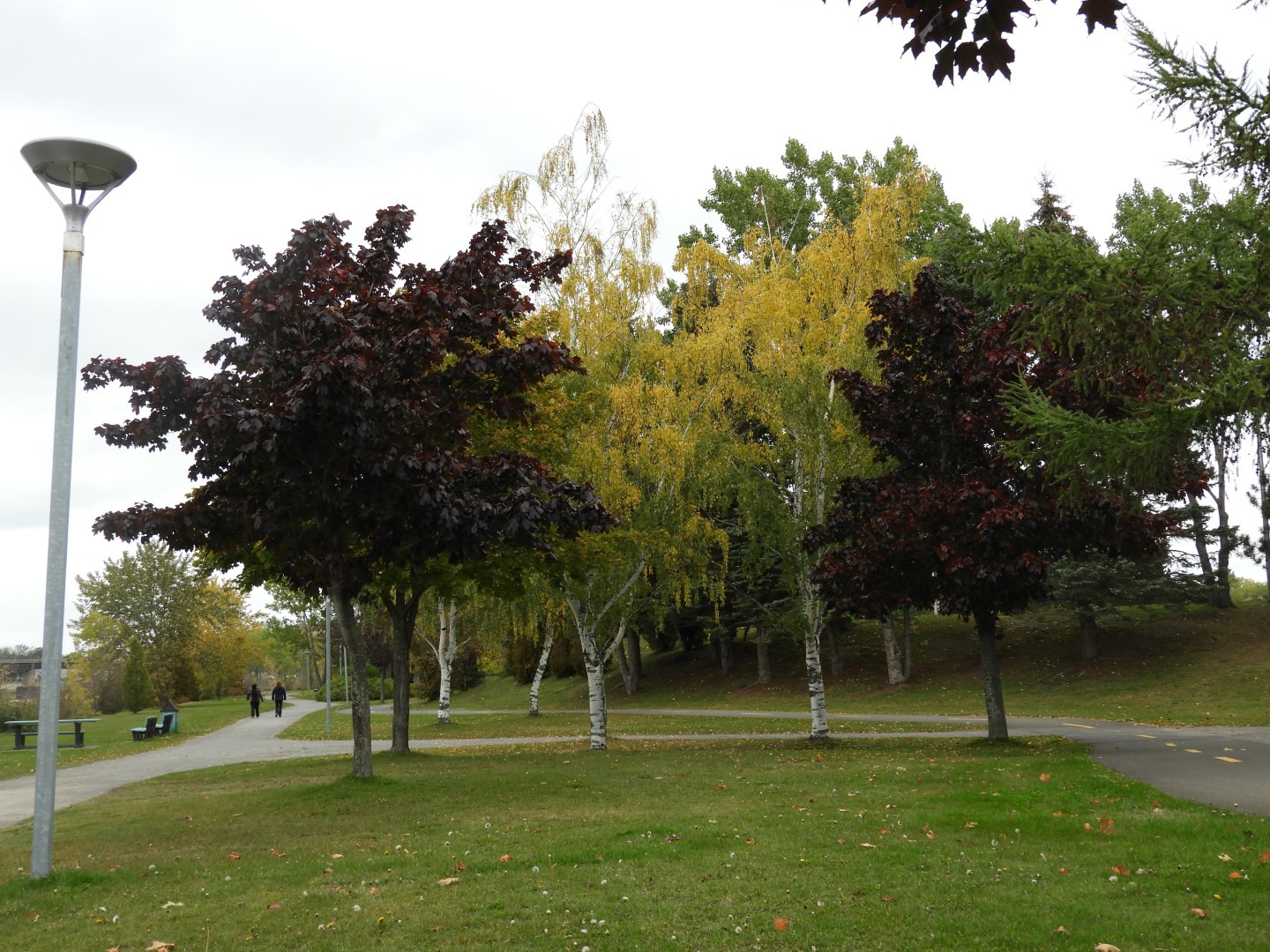 Rimouski CN 8 of  9 (#0435)