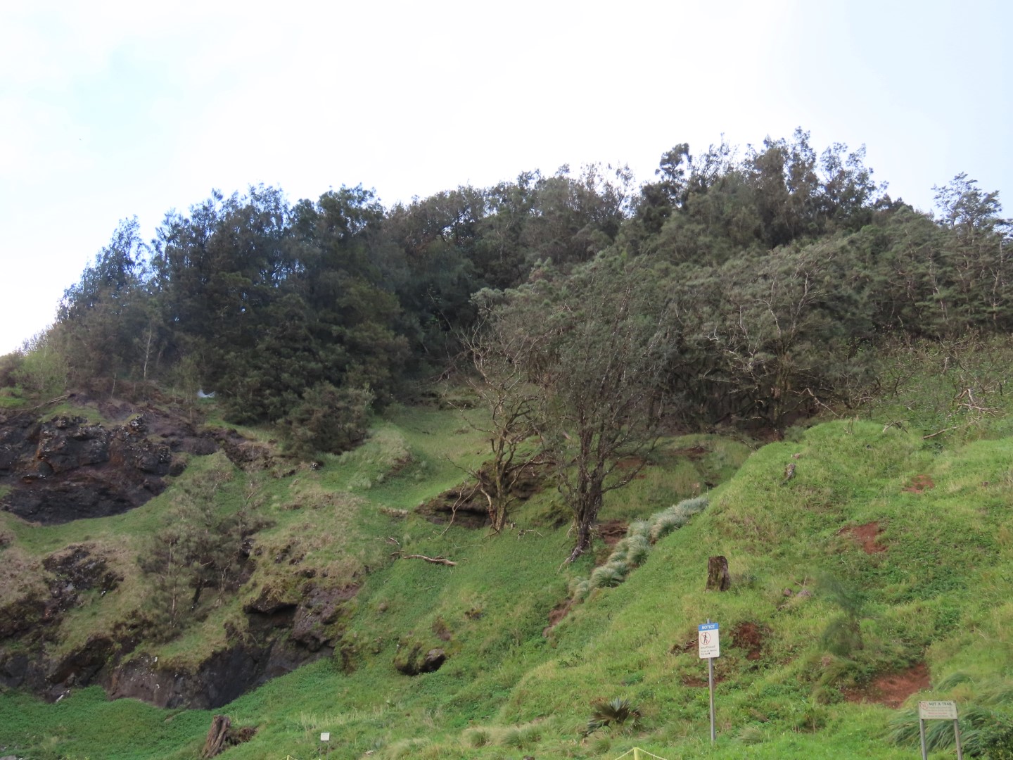 Nuuana Pali Lookout north of Honolulu  2 of 13 (#0129)
