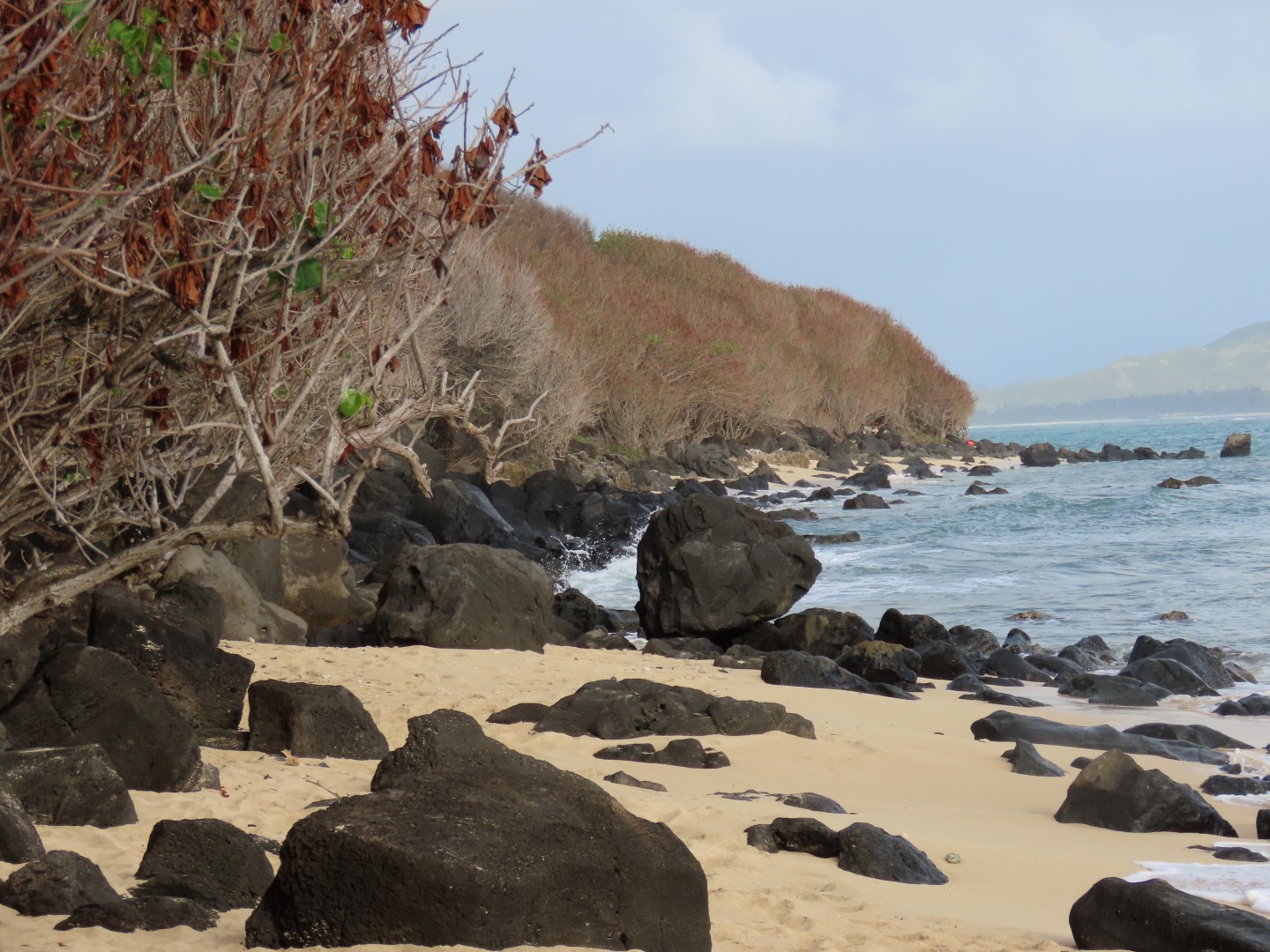 Hawaii  2 of 12 (#0142)