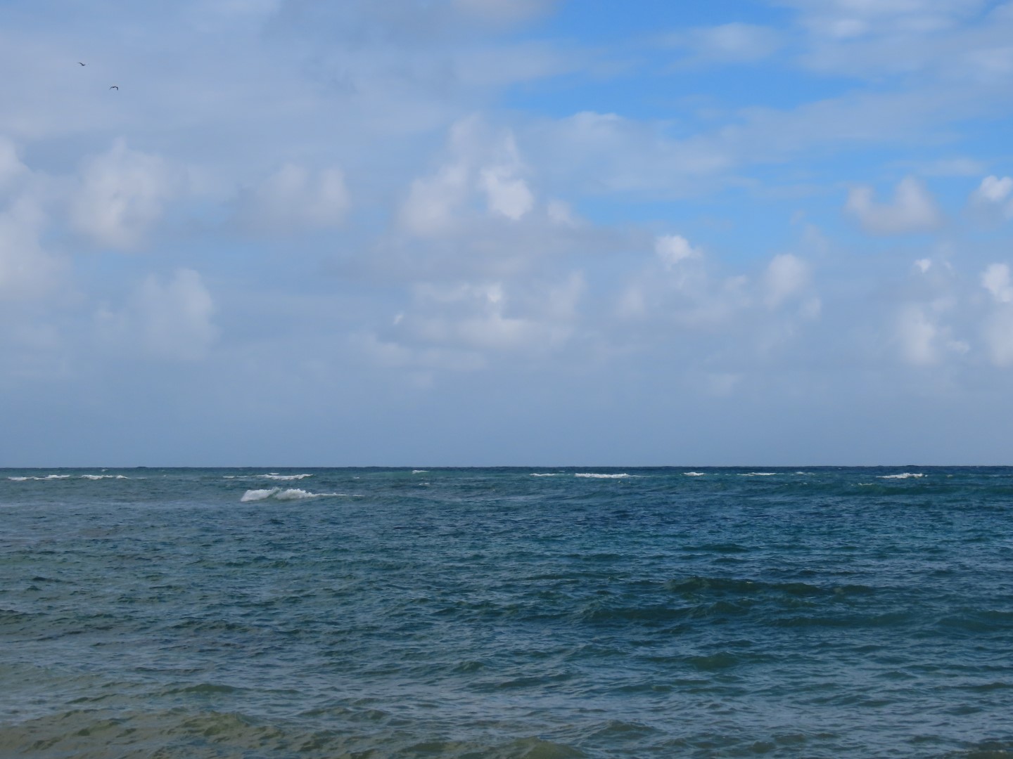 Hawaii  4 of 12 (#0145)