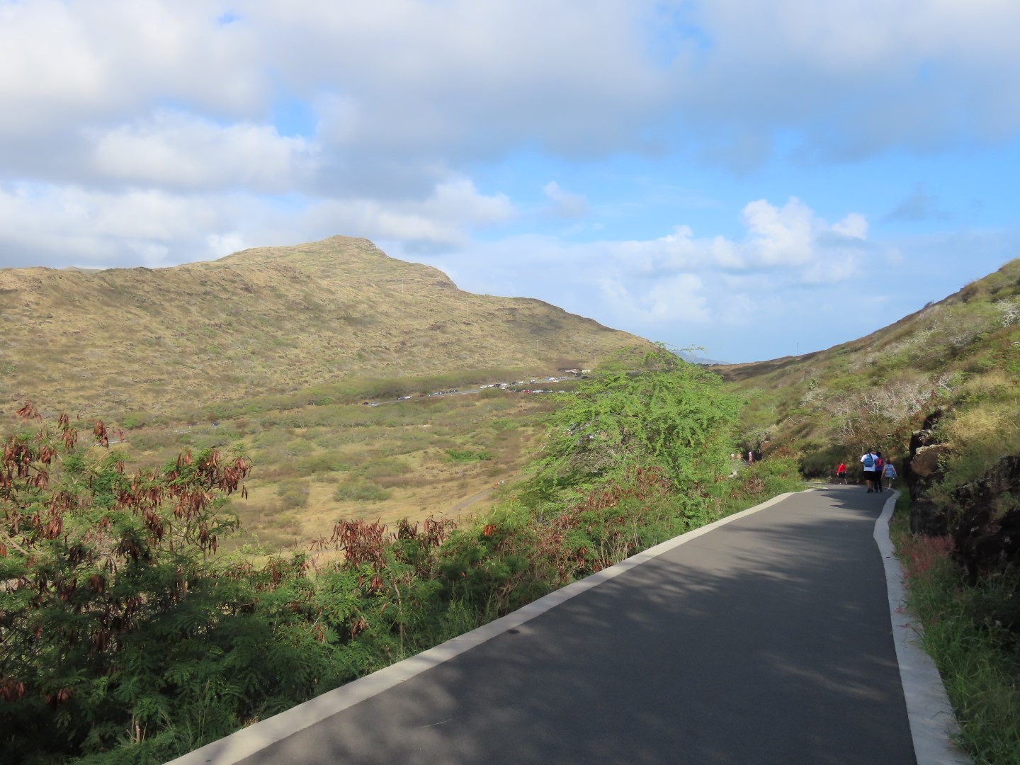 Makapuu Point Trail  7 of  8 (#0178)