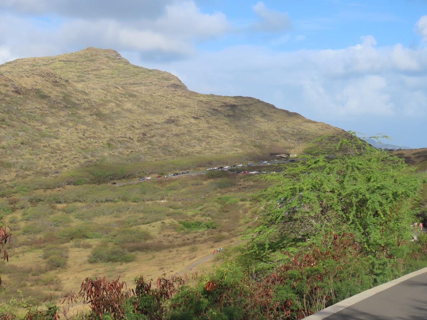 Makapuu Point Trail  8 of  8 (#0179)