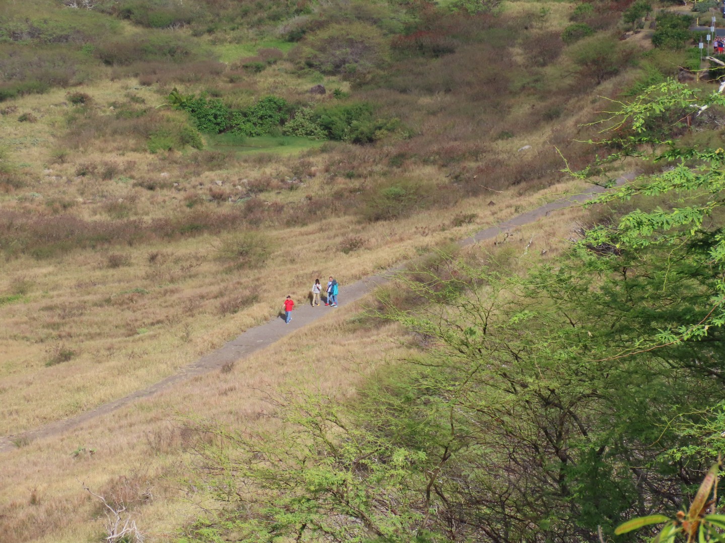 Makapuu Point Trail  9 of  8 (#0180)
