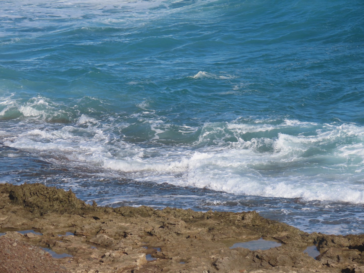 Mokulela Beach Park  9 of 11 (#0218)