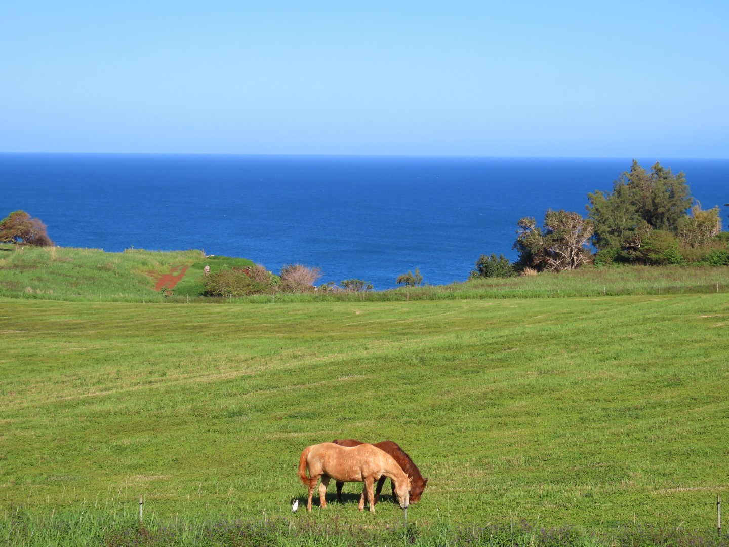 Kauai Northeast Coast  1 of  3 (#0228)