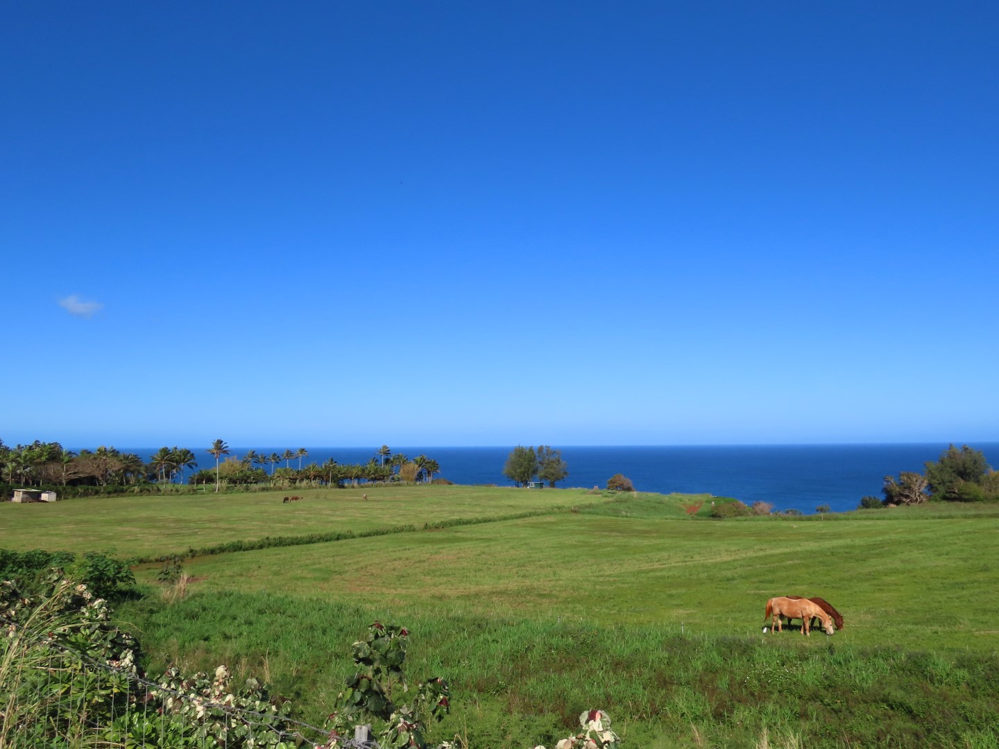 Kauai Northeast Coast  2 of  3 (#0229)