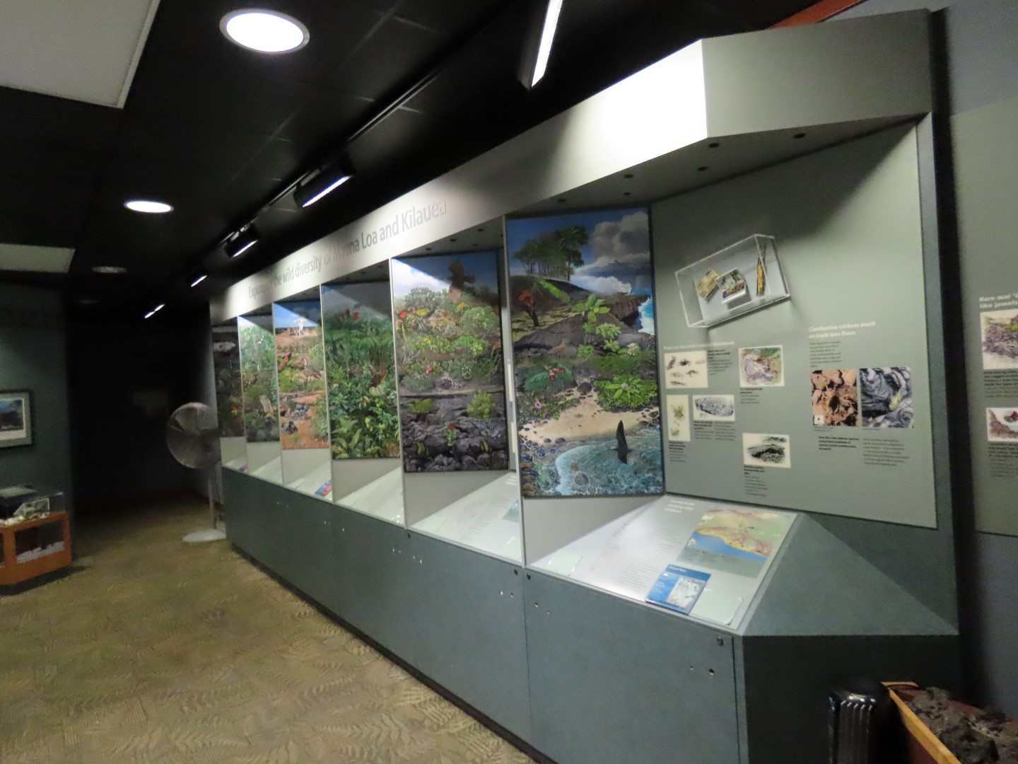 Hawaii Volcano National Park on the Big Island of Hawaii  5 of 16 (#0370)