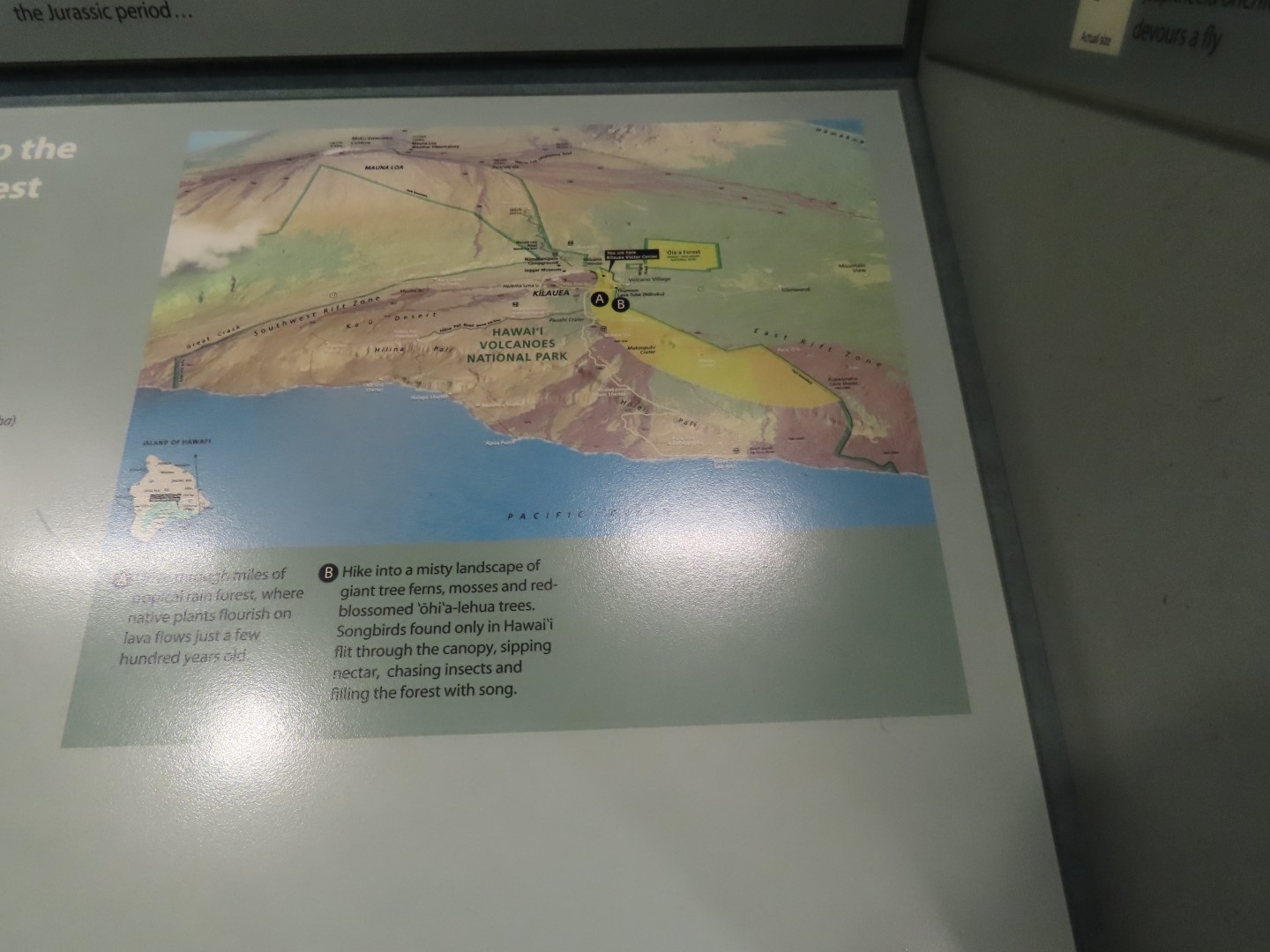 Hawaii Volcano National Park on the Big Island of Hawaii  9 of 16 (#0374)