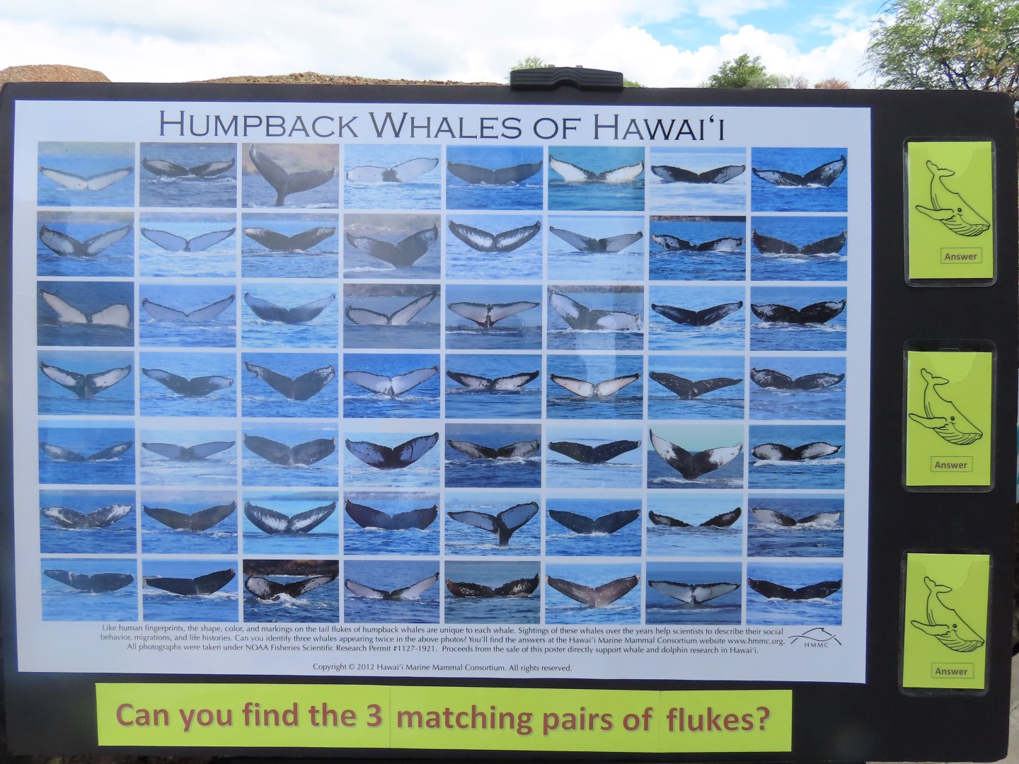 Puukohola Haiau Natl Historic Site on the Big Island of Hawaii 16 of 28 (#0463)