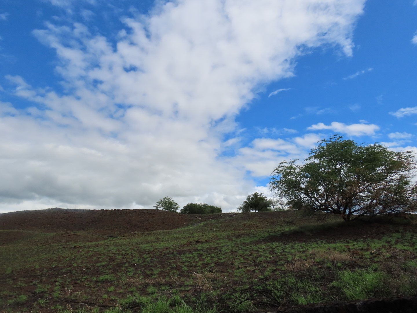 Puukohola Haiau Natl Historic Site on the Big Island of Hawaii 24 of 28 (#0471)