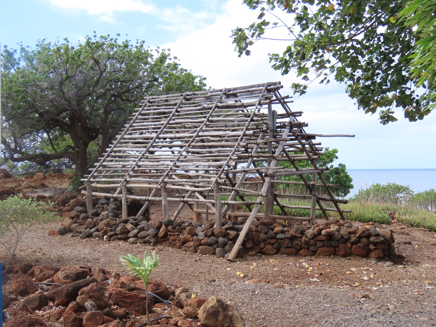 Lapakaki State Historic Park on the Big Island of Hawaii  5 of 17 (#0480)
