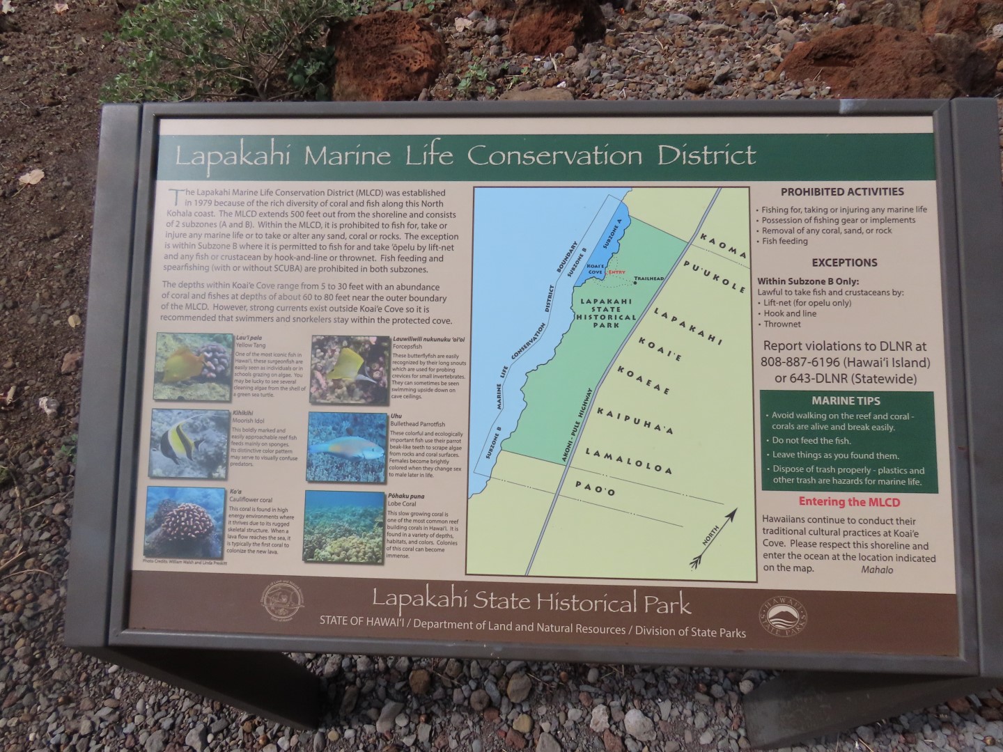 Lapakaki State Historic Park on the Big Island of Hawaii  6 of 17 (#0482)