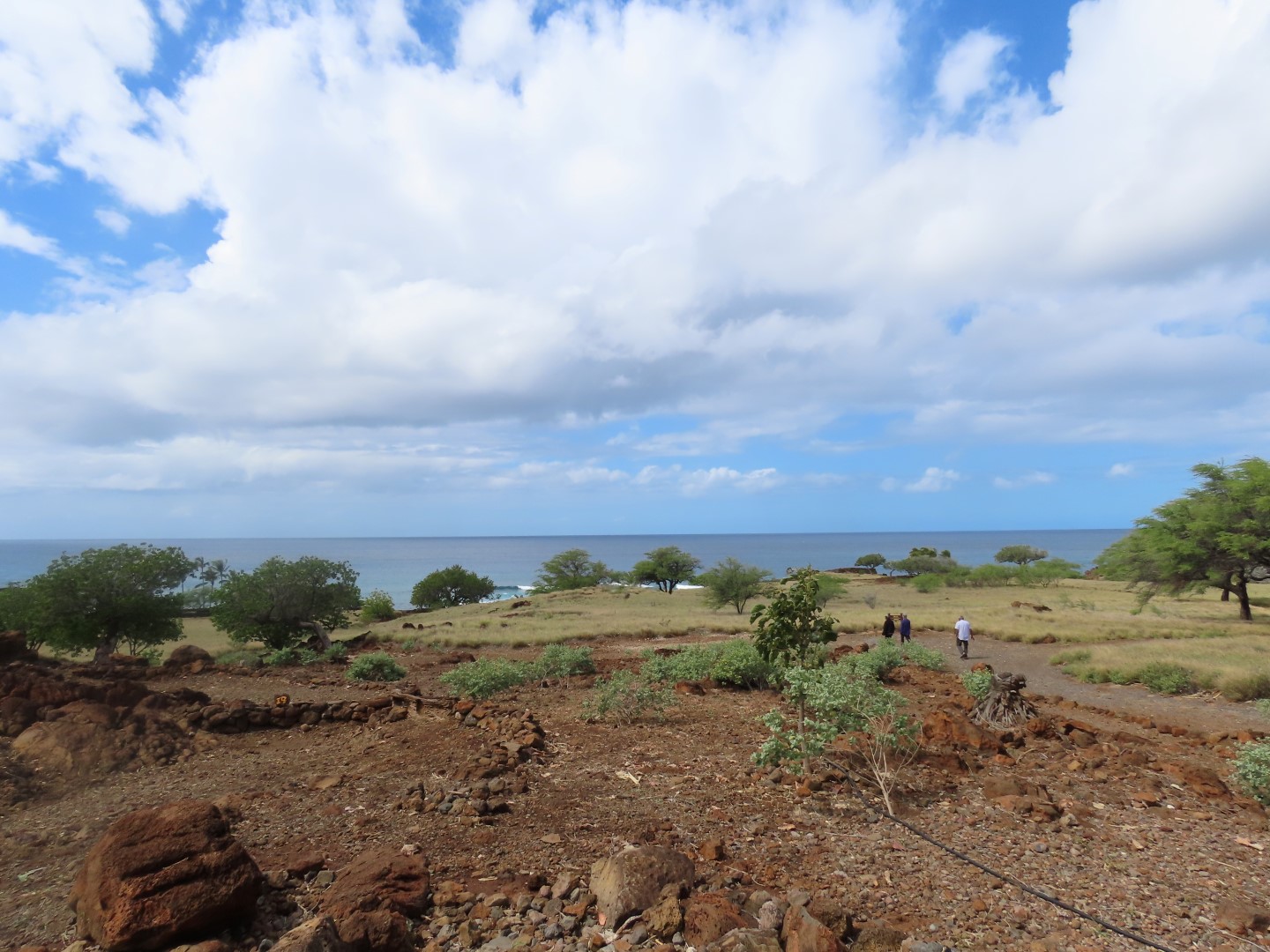 Lapakaki State Historic Park on the Big Island of Hawaii  7 of 17 (#0483)