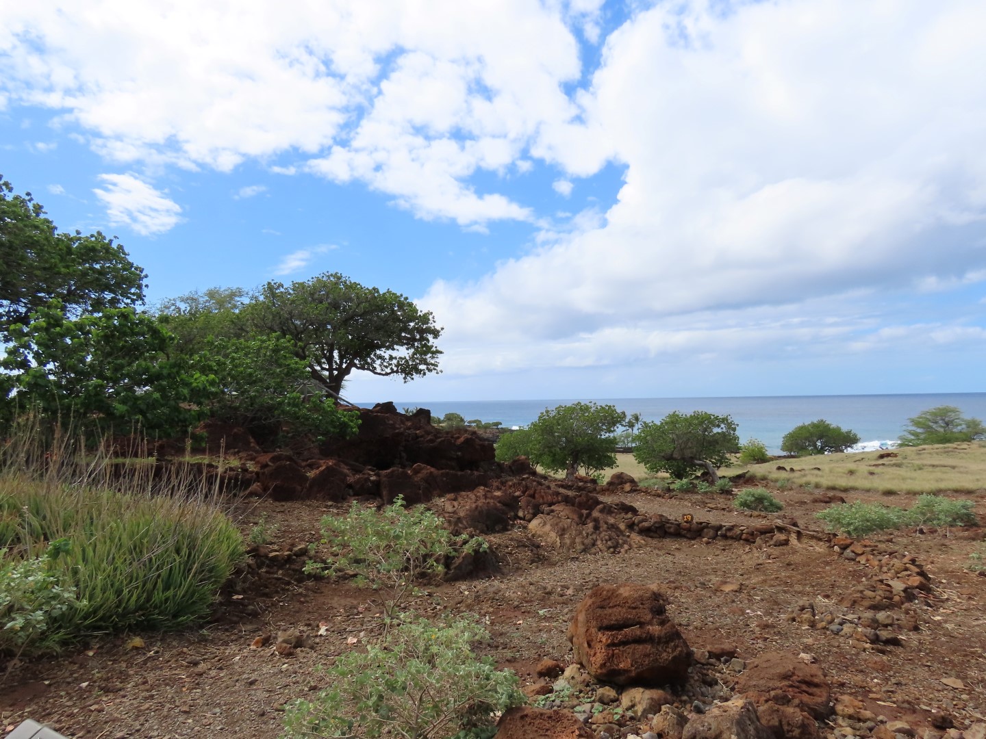 Lapakaki State Historic Park on the Big Island of Hawaii  8 of 17 (#0484)