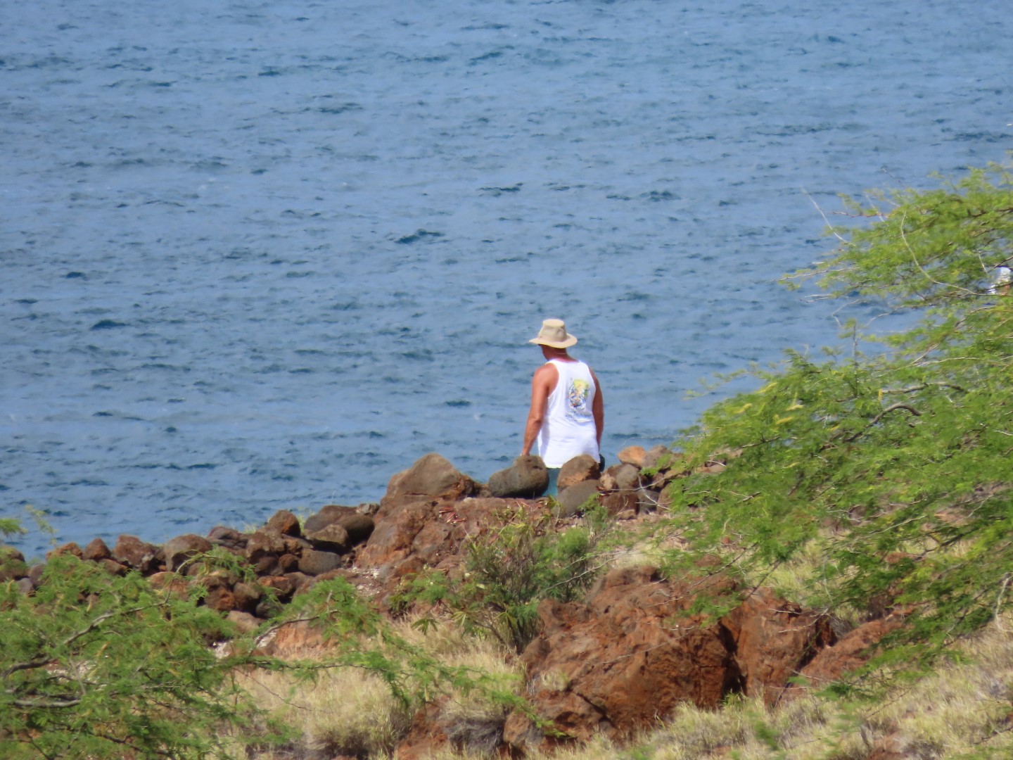Lapakaki State Historic Park on the Big Island of Hawaii 13 of 17 (#0489)