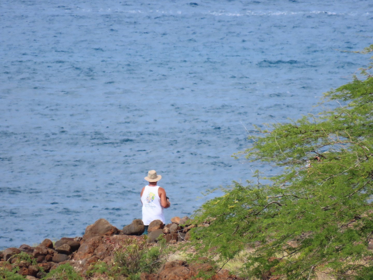 Lapakaki State Historic Park on the Big Island of Hawaii 14 of 17 (#0490)