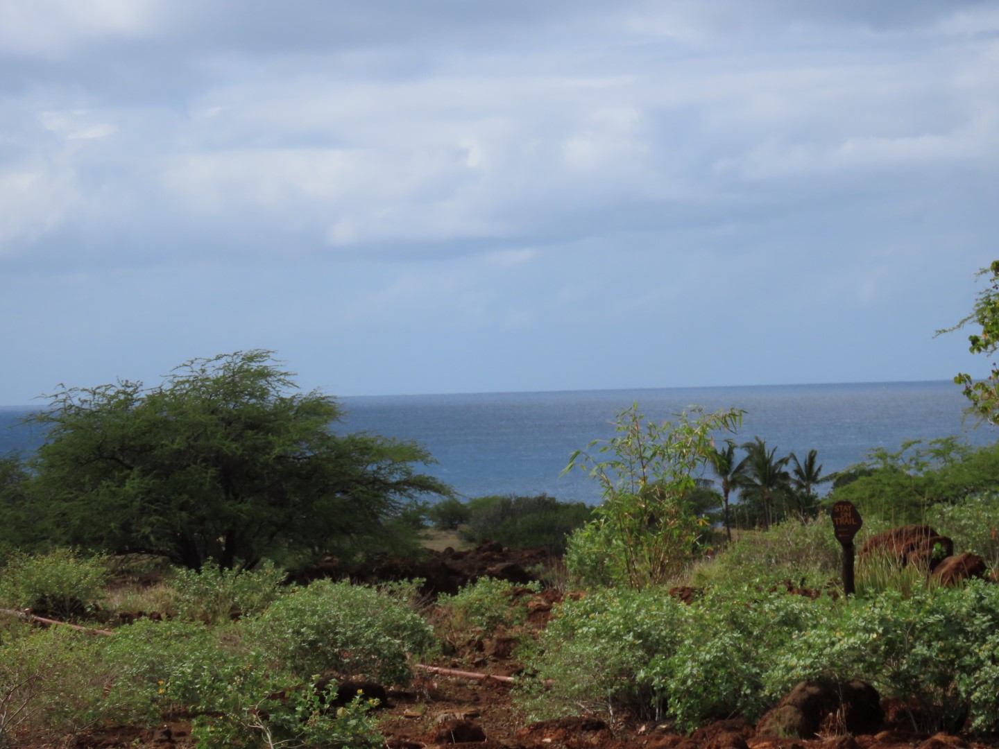 Lapakaki State Historic Park on the Big Island of Hawaii 15 of 17 (#0491)
