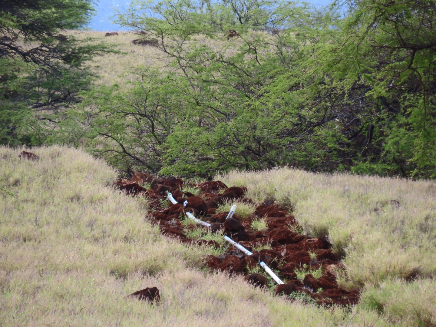 Lapakaki State Historic Park on the Big Island of Hawaii 16 of 17 (#0492)
