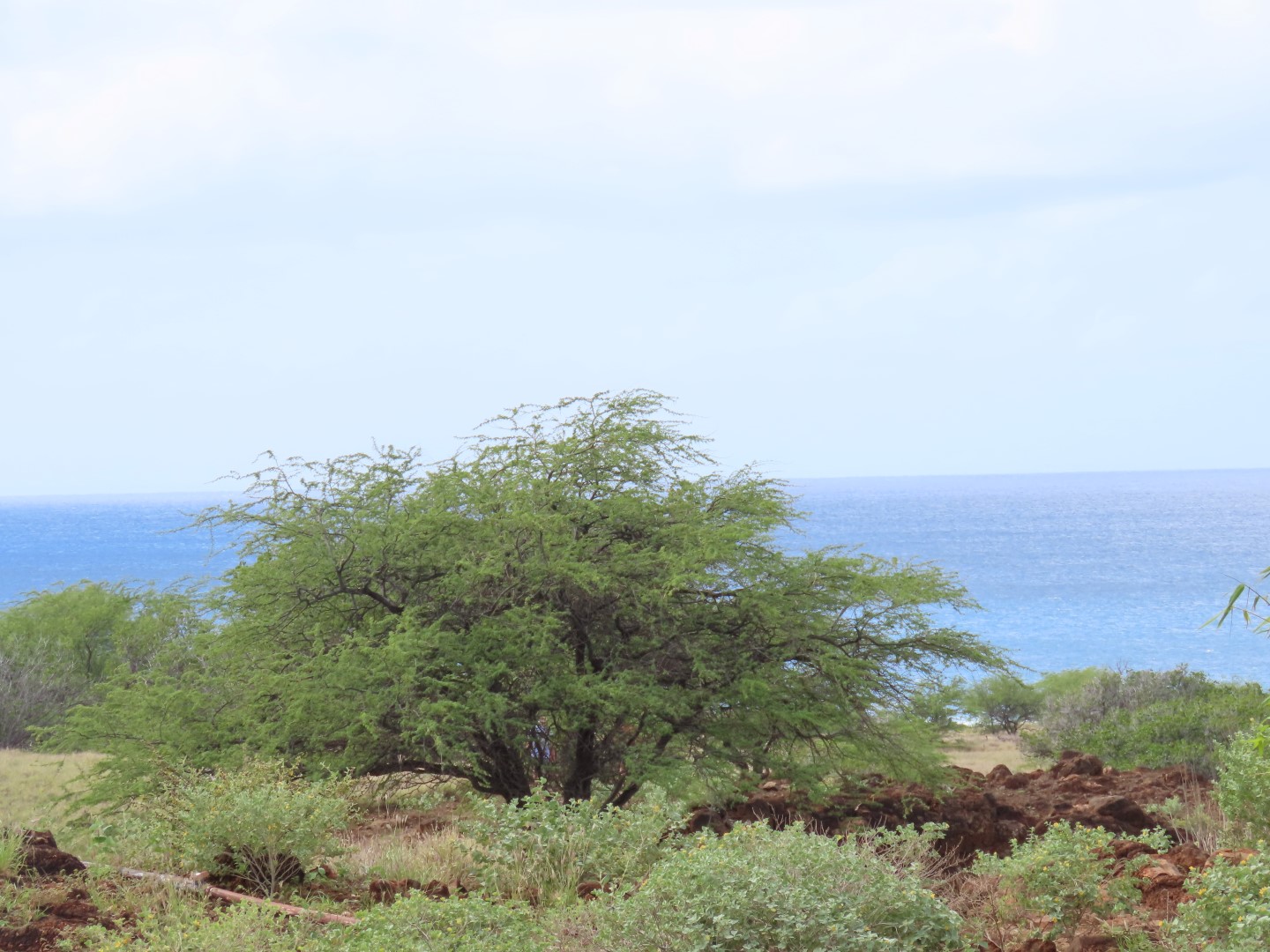 Lapakaki State Historic Park on the Big Island of Hawaii 17 of 17 (#0493)