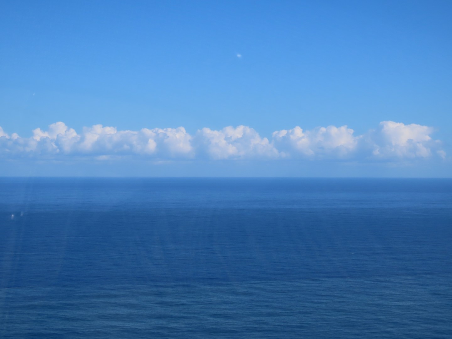 Looking for Whales off the Big Island of Hawaii  2 of  7 (#0523)