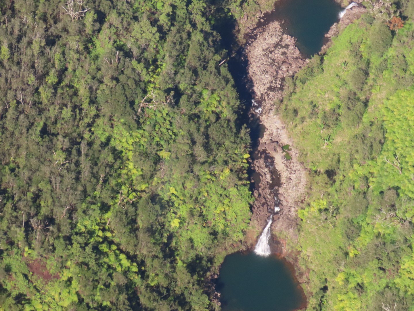 Waterfalls in the Rain Forest on the Big Island of Hawaii  1 of 15 (#0530)
