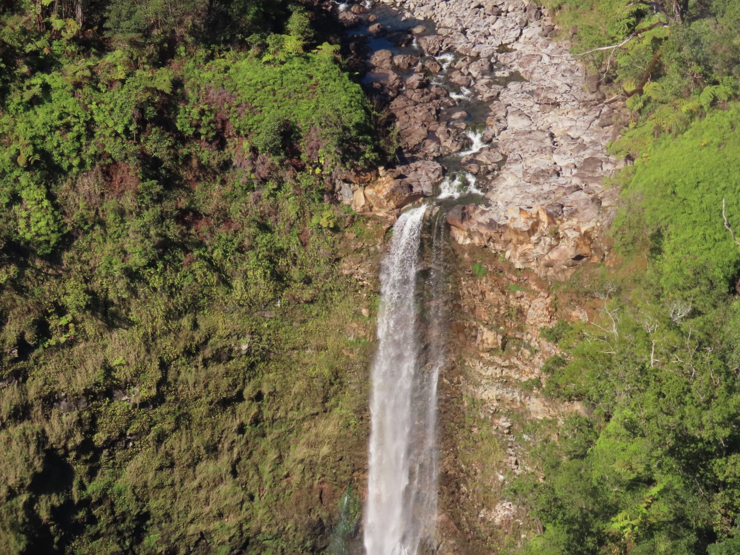 Waterfalls in the Rain Forest on the Big Island of Hawaii  3 of 15 (#0533)