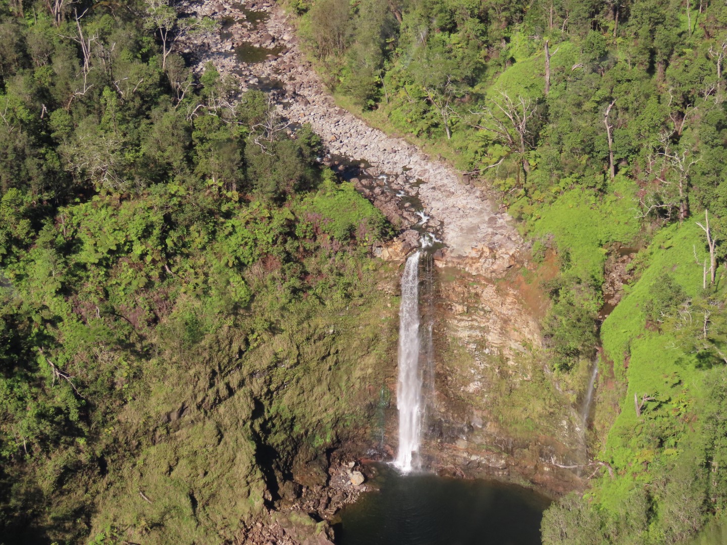 Waterfalls in the Rain Forest on the Big Island of Hawaii  4 of 15 (#0534)