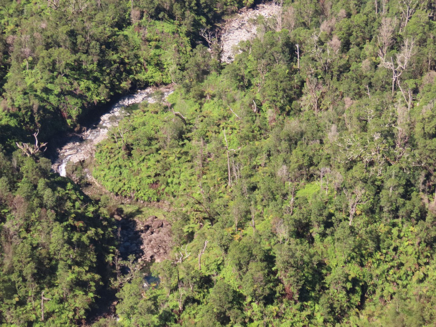 Waterfalls in the Rain Forest on the Big Island of Hawaii  5 of 15 (#0536)