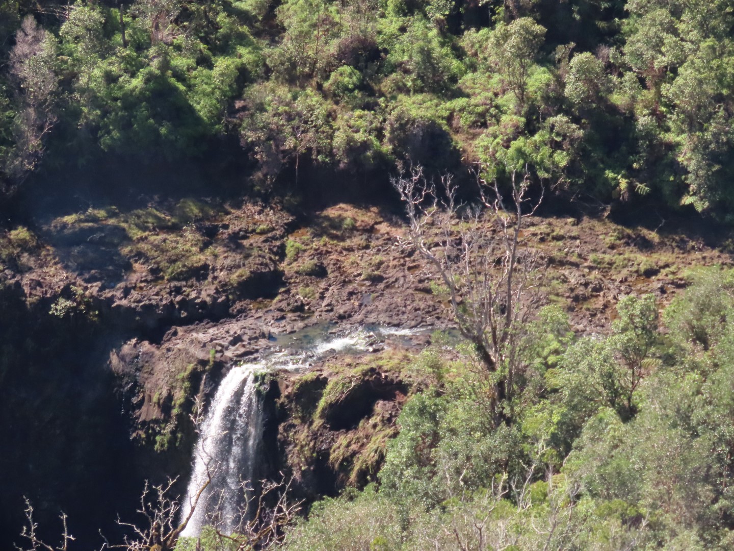 Waterfalls in the Rain Forest on the Big Island of Hawaii  6 of 15 (#0537)