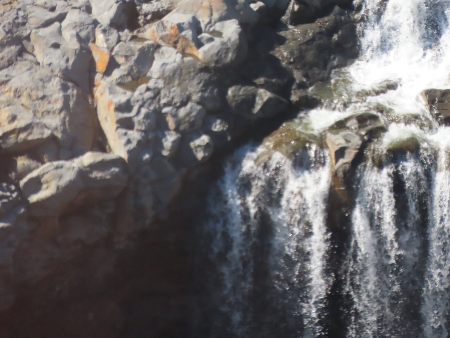 Waterfalls in the Rain Forest on the Big Island of Hawaii 11 of 15 (#0542)