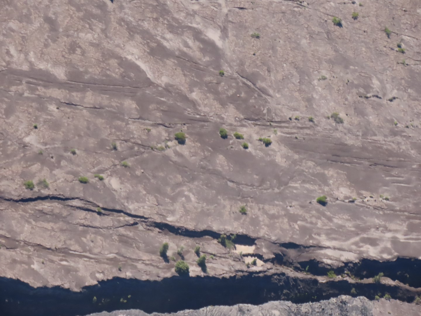 Touring the old Lava Beds of the Big Island of Hawaii  8 of 38 (#0554)