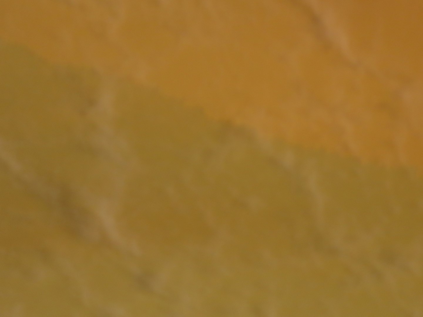 Touring the old Lava Beds of the Big Island of Hawaii 16 of 38 (#0563)