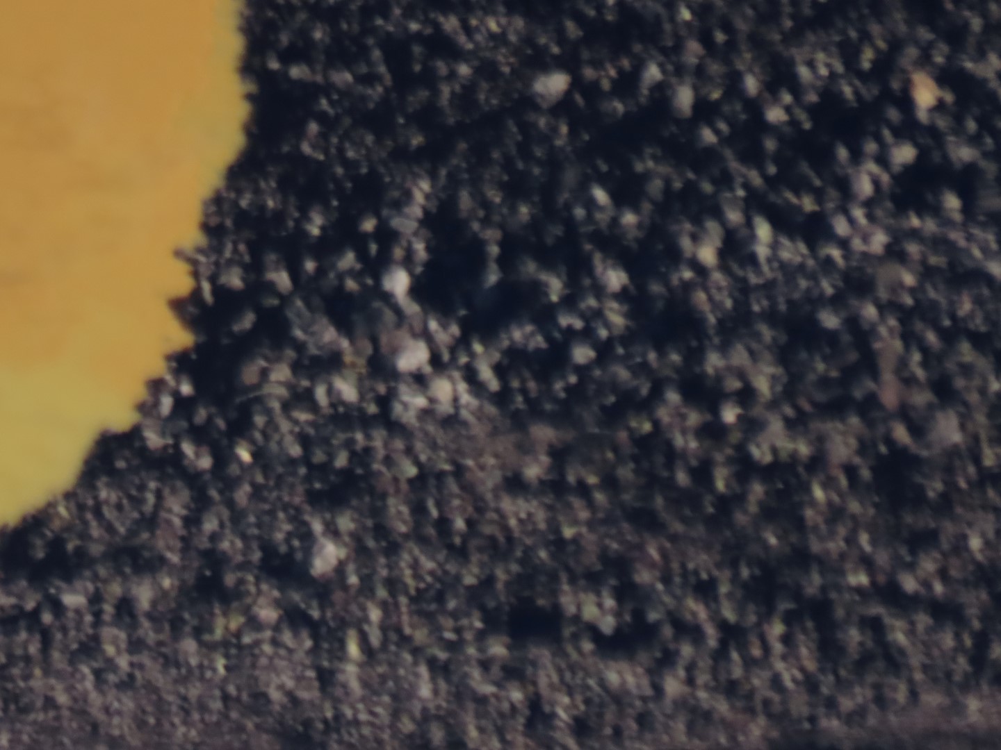 Touring the old Lava Beds of the Big Island of Hawaii 20 of 38 (#0568)