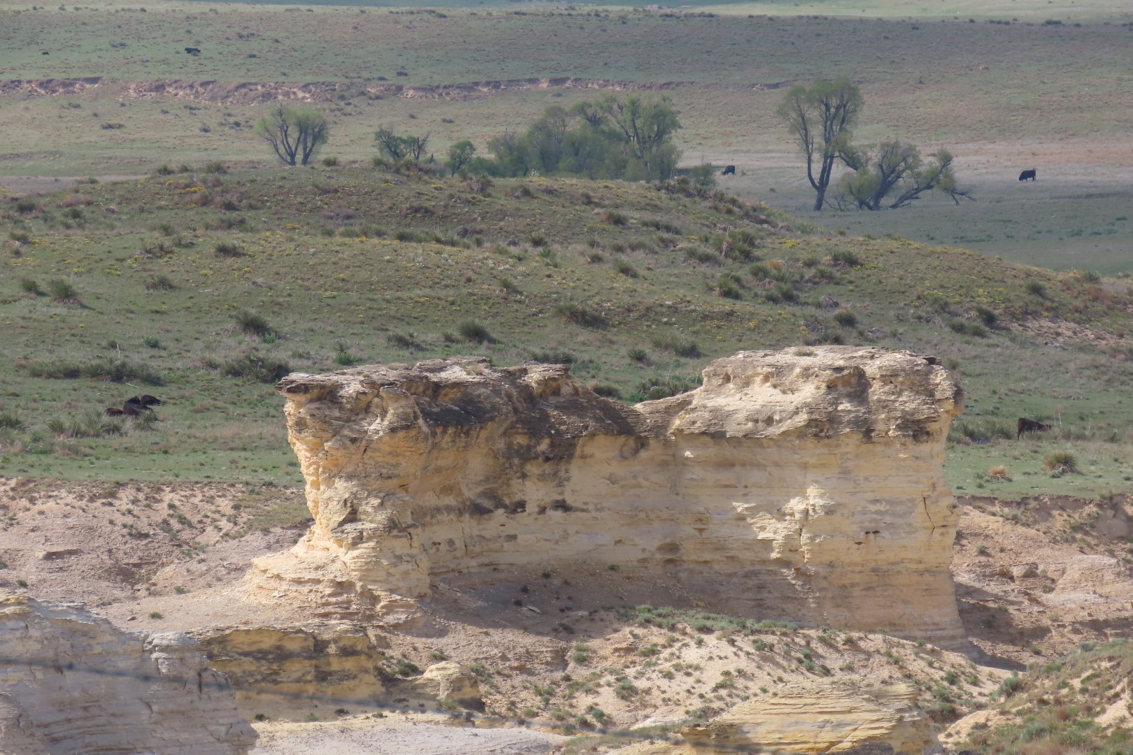 Monument Rocks in Western Kansas 13 of 13 (#1319)