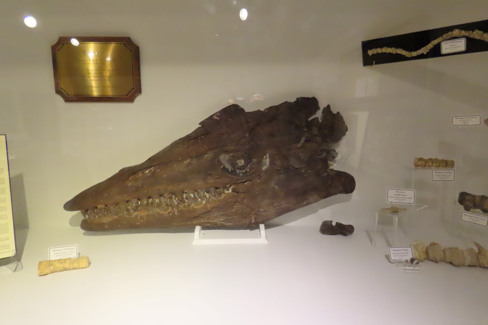 Fick Museum in Oakley Kansas  2 of 28 (#1347)