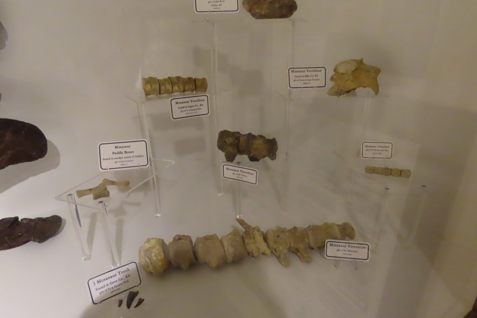 Fick Museum in Oakley Kansas  3 of 28 (#1348)