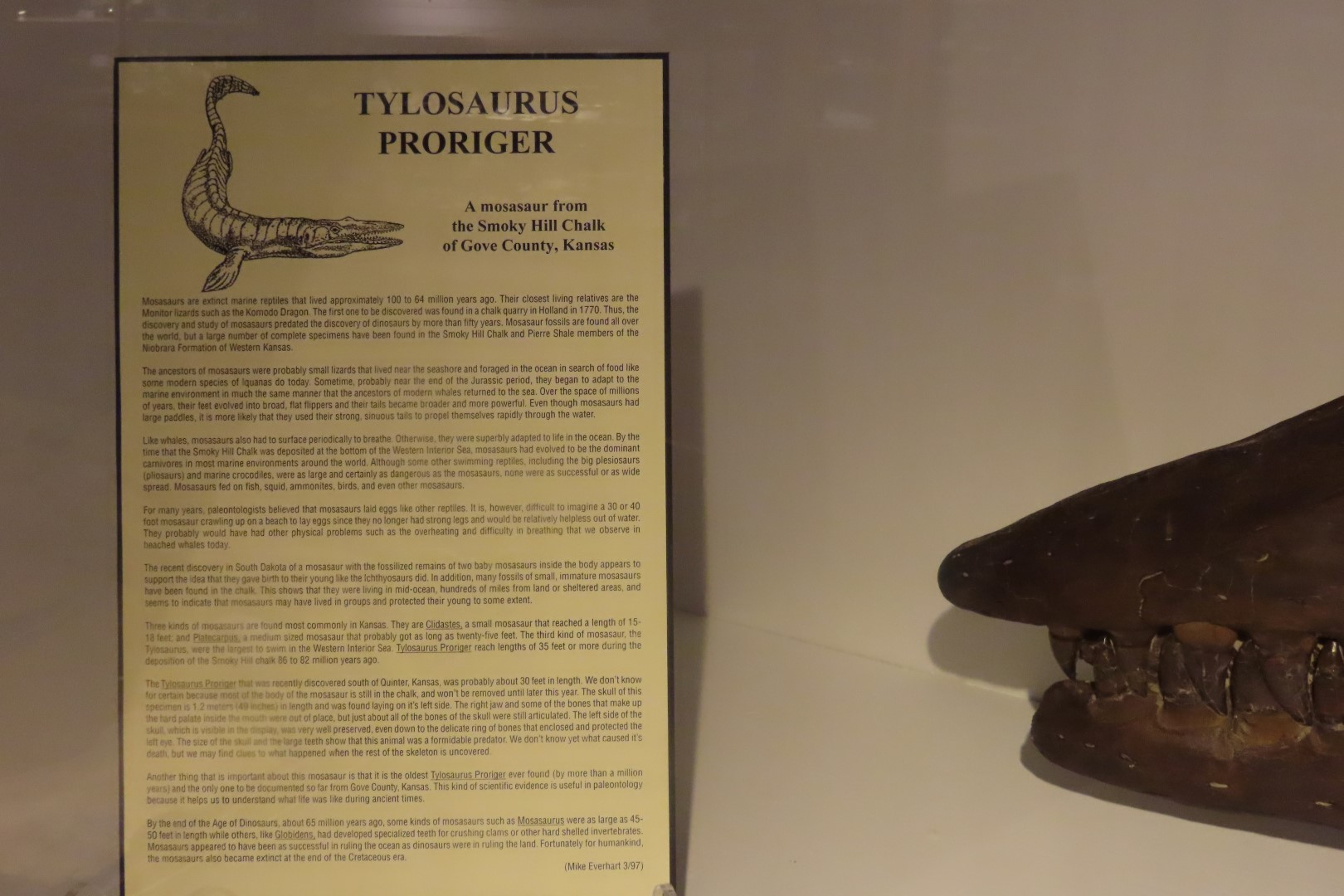 Fick Museum in Oakley Kansas  4 of 28 (#1349)