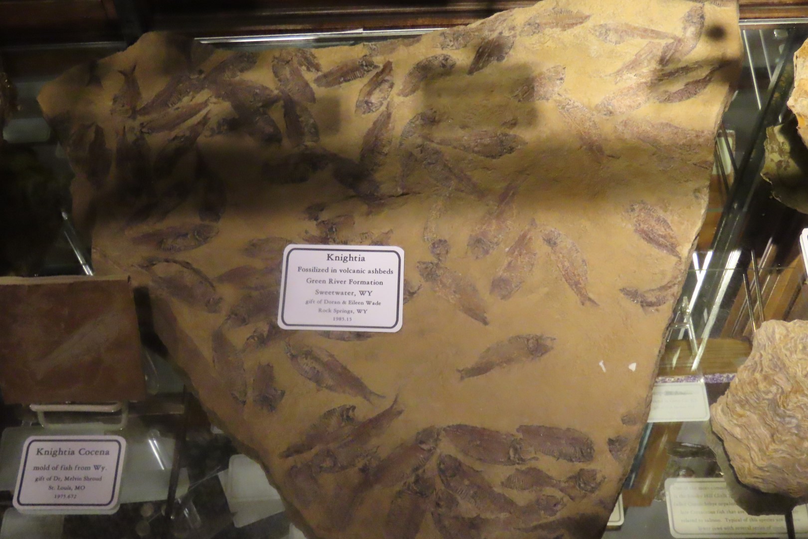 Fick Museum in Oakley Kansas  5 of 28 (#1350)