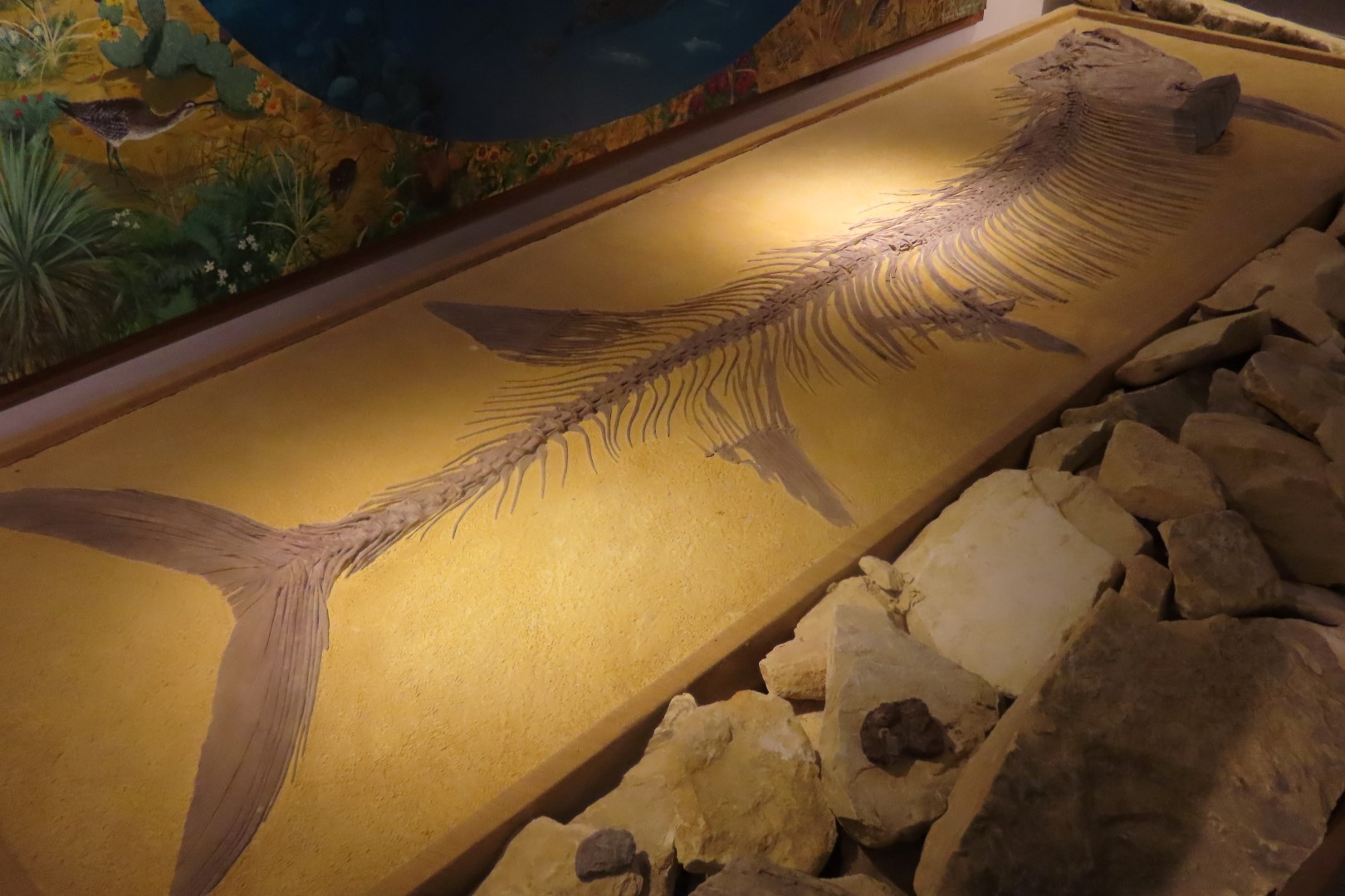 Fick Museum in Oakley Kansas  6 of 28 (#1351)