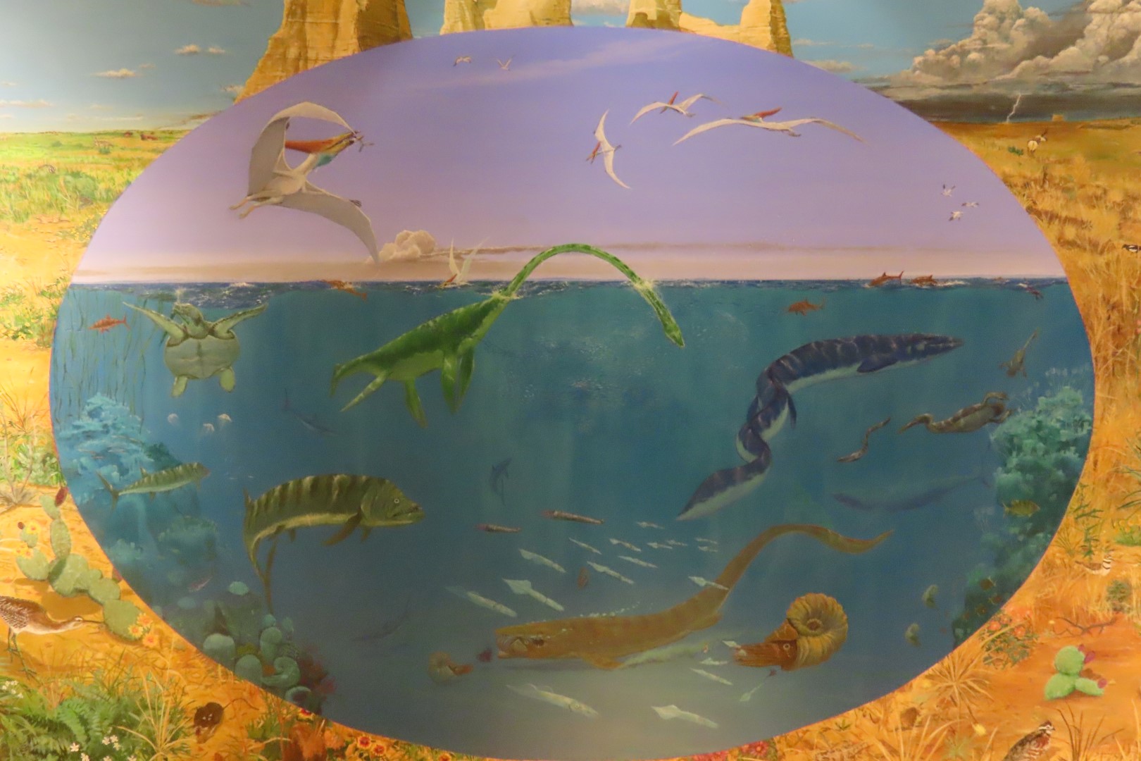 Fick Museum in Oakley Kansas  7 of 28 (#1352)