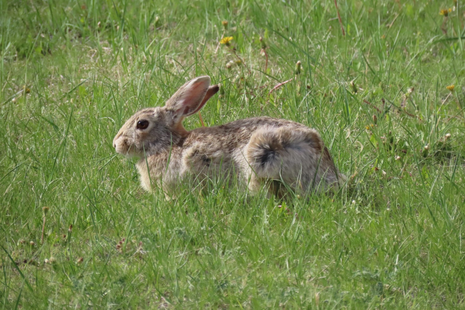 Fort Laramie National Park in east central Wyoming 20 of 33 (#1449)