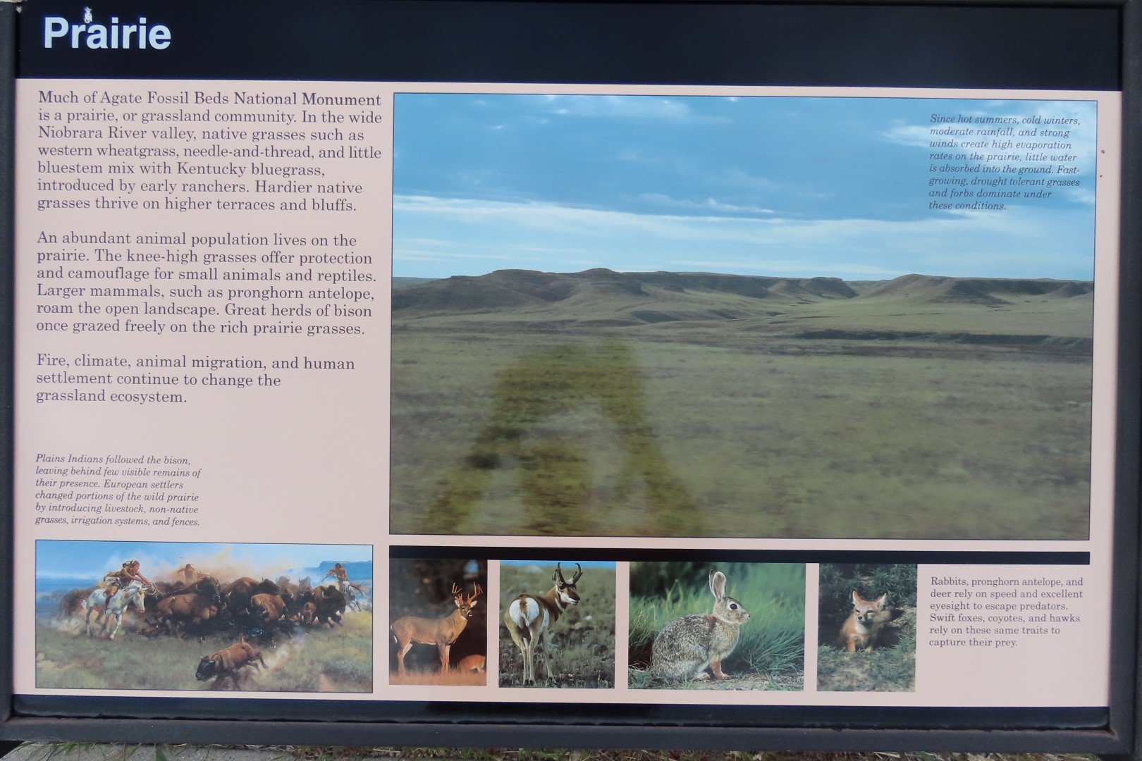 Agate Fossil Bed National Park in Western Northwestern Nebraska 10 of 19 (#1489)