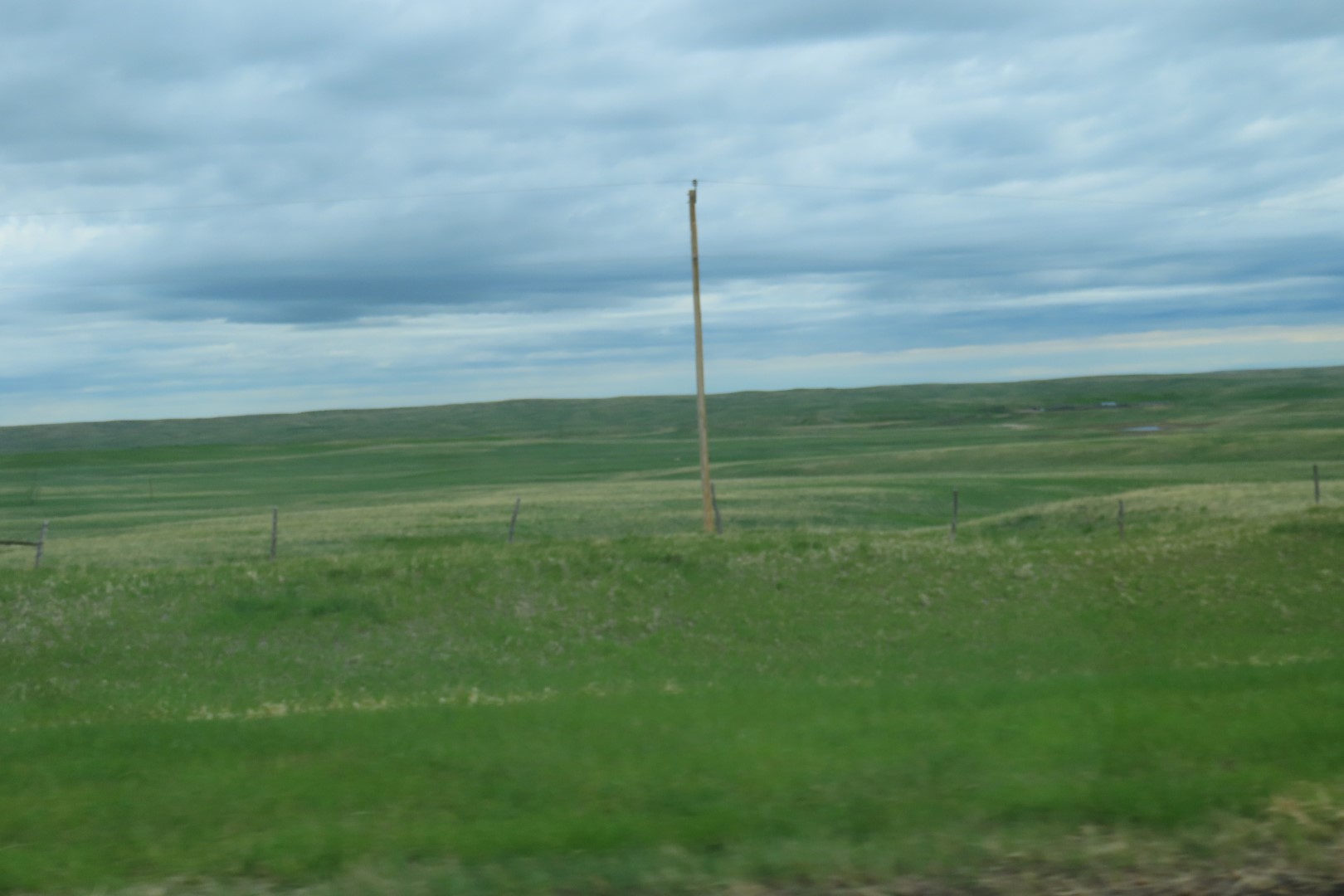 Along the Highways in Western South Dakota  1 of  5 (#1500)
