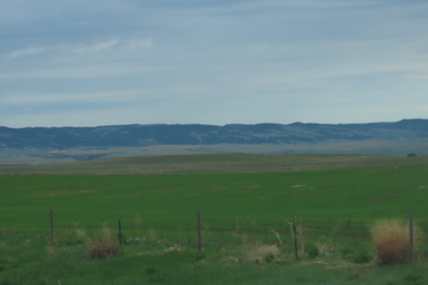 Along the Highways in Western South Dakota  5 of  5 (#1504)