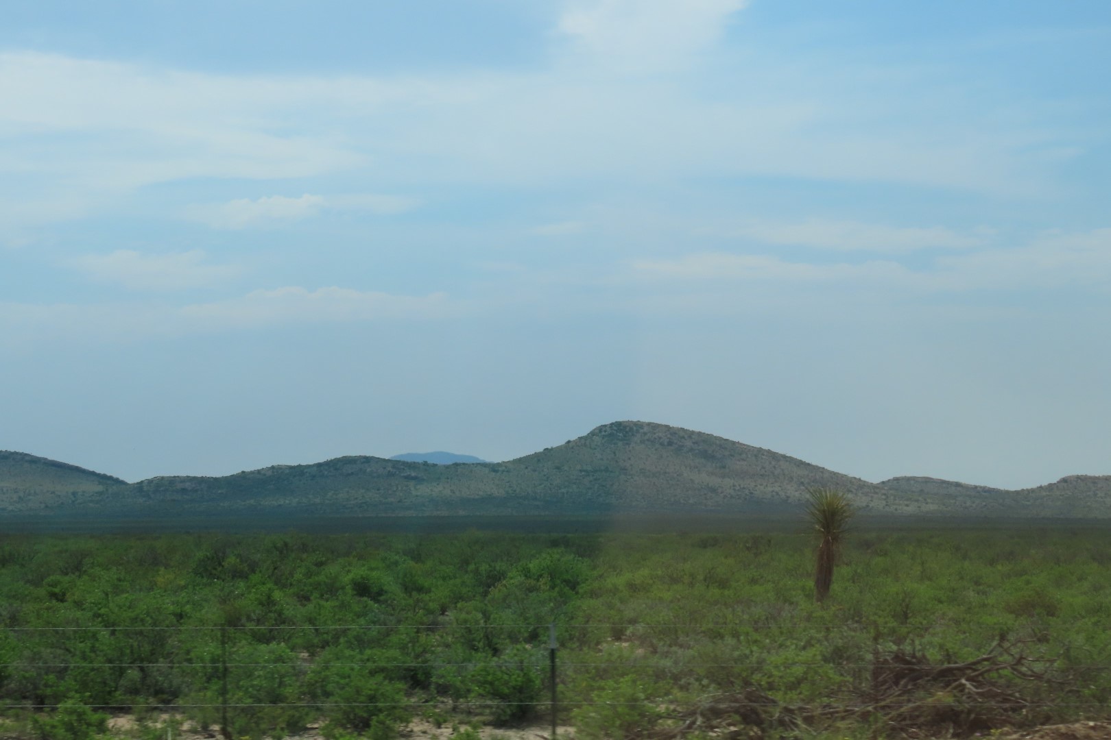 Along highways to and from Big Bend National Park in Texas  6 of 11 (#1544)
