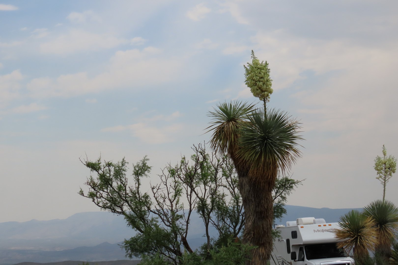 Big Bend National Park Panther Visitor Center in Texas  1 of  5 (#1571)